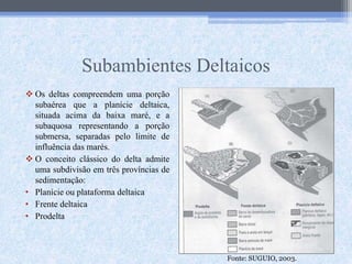 Subambientes Deltaicos
 Os deltas compreendem uma porção
subaérea que a planície deltaica,
situada acima da baixa maré, e a
subaquosa representando a porção
submersa, separadas pelo limite de
influência das marés.
 O conceito clássico do delta admite
uma subdivisão em três províncias de
sedimentação:
• Planície ou plataforma deltaica
• Frente deltaica
• Prodelta
Fonte: SUGUIO, 2003.
 