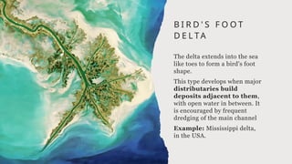 River Deltas: Definition, Formation, Structure, Morphology, Types | PPTX