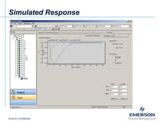 Delta v advanced control overview_en | PPT