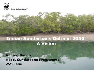Indian Sundarbans Delta in 2050: A Vision Anurag Danda Head, Sundarbans Programme WWF India 