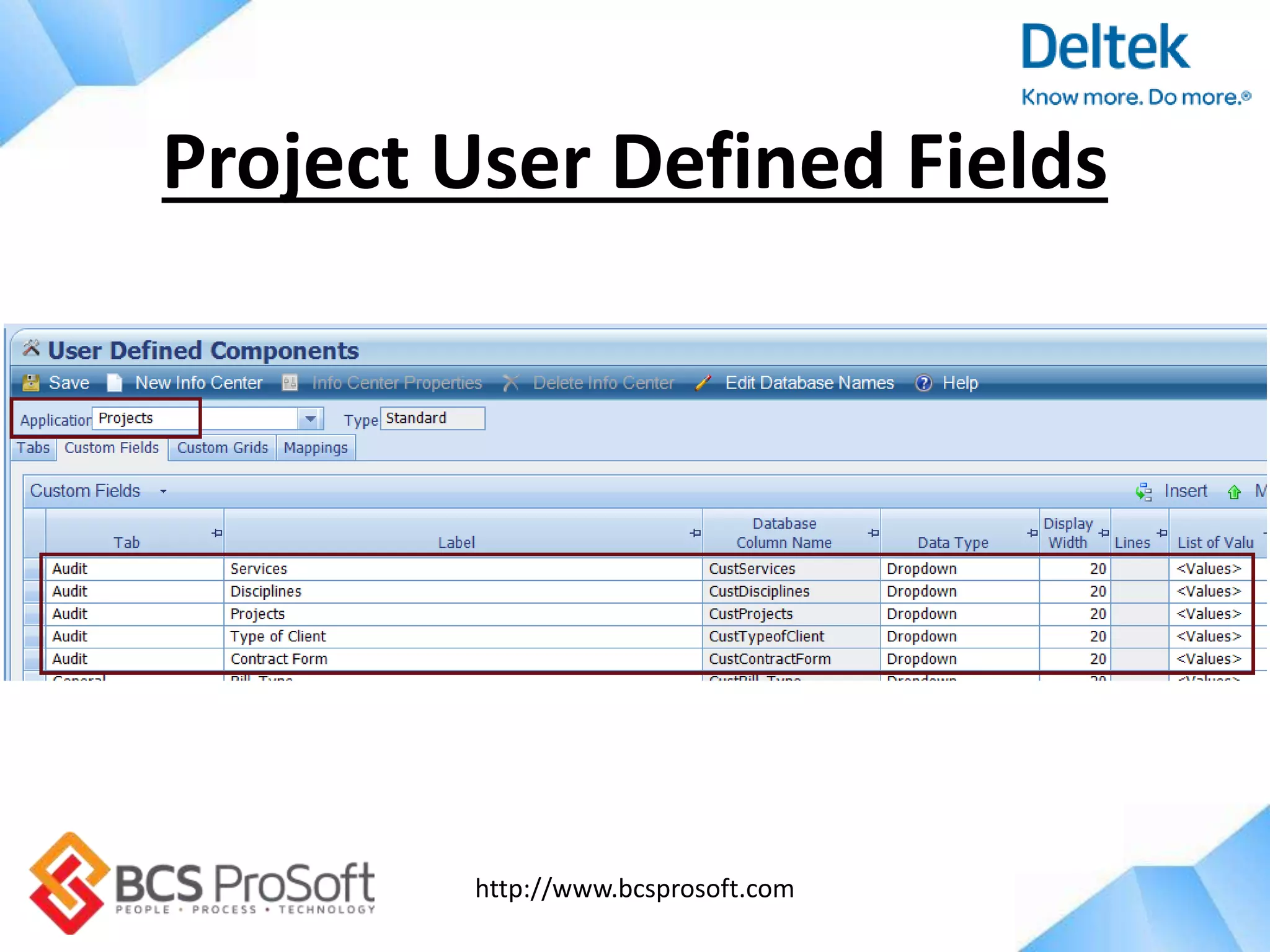 http://www.bcsprosoft.com
Project User Defined Fields
 