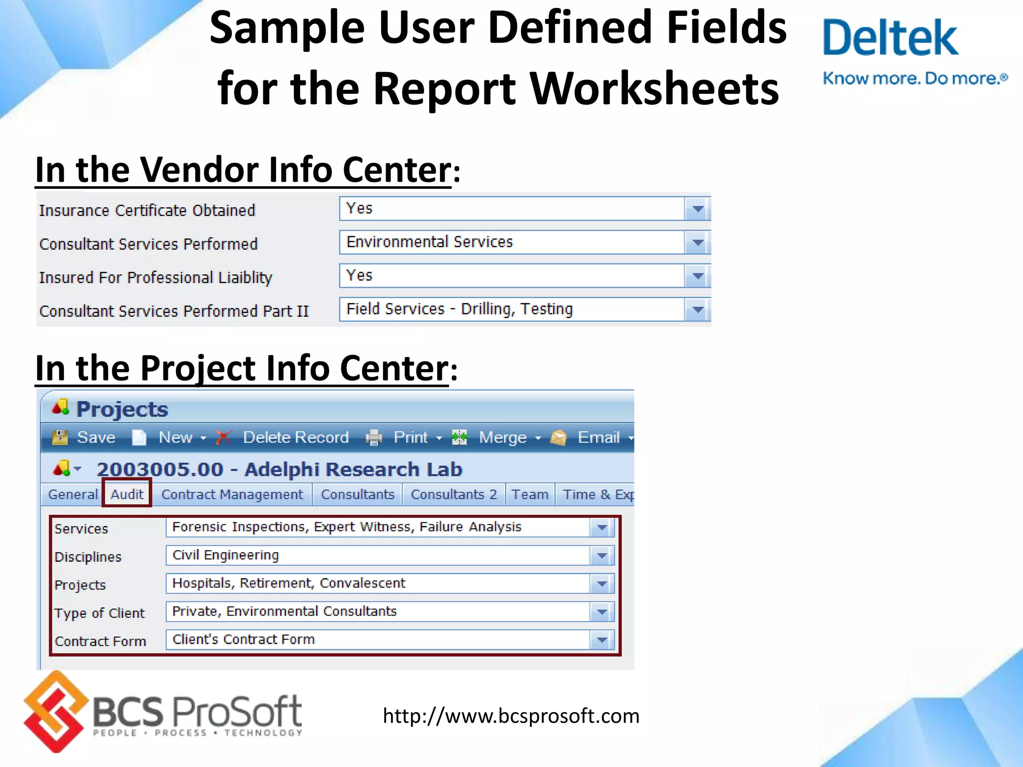 http://www.bcsprosoft.com
Sample User Defined Fields
for the Report Worksheets
In the Vendor Info Center:
In the Project Info Center:
 