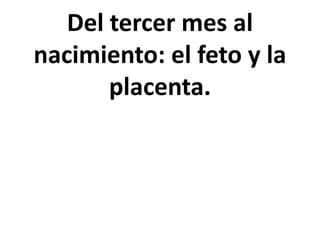 Del tercer mes al
nacimiento: el feto y la
placenta.
 