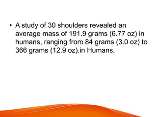 Deltoid muscle, origin insertion and movement | PPT