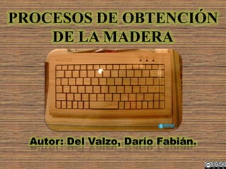 PROCESOS DE OBTENCIÓN
    DE LA MADERA




  Autor: Del Valzo, Darío Fabián.
 