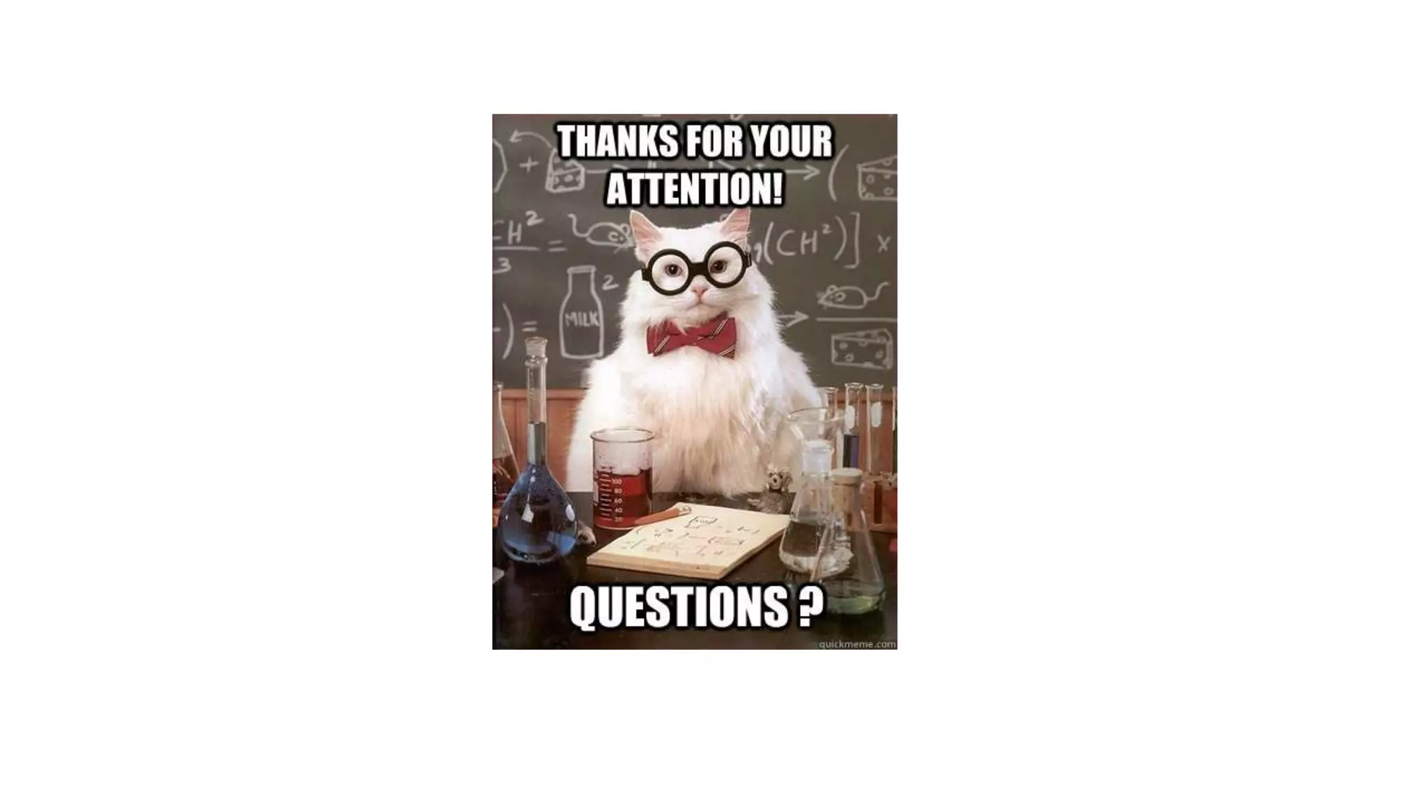 Mobile Developers Talks: Delve Mobile