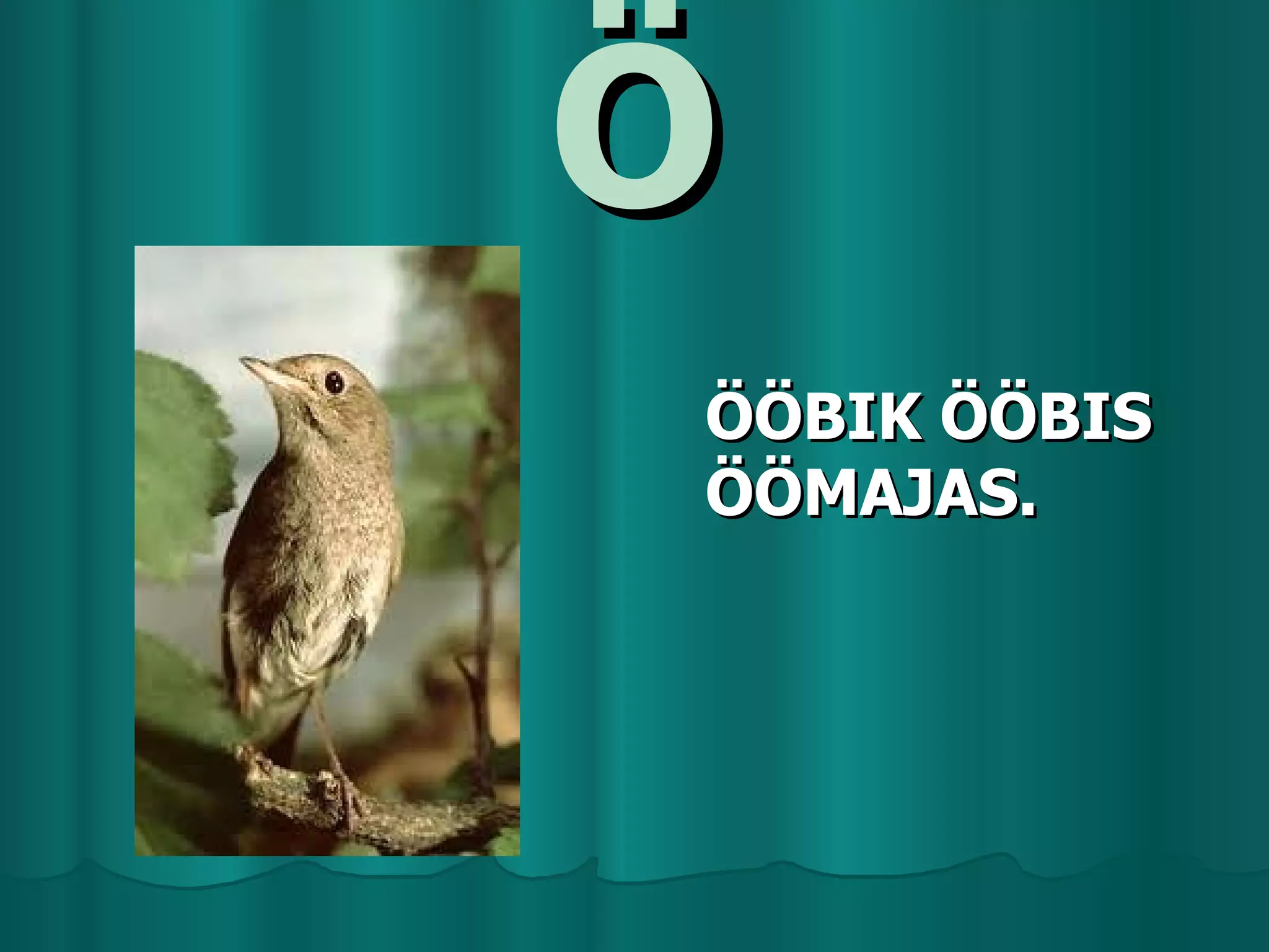 Ö
ÖÖBIK ÖÖBIS
ÖÖMAJAS.