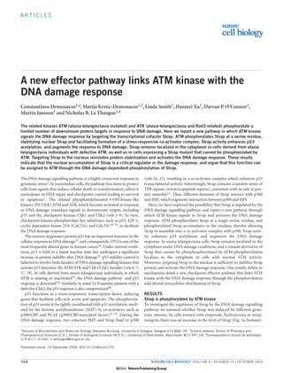 A RT I C L E S
968 NATURE CELL BIOLOGY VOLUME 6 | NUMBER 10 | OCTOBER 2004
A new effector pathway links ATM kinase with the
DNA damage response
Constantinos Demonacos1,2, Marija Krstic-Demonacos1,2, Linda Smith1, Danmei Xu1, Darran P. O’Connor1,
Martin Jansson1 and Nicholas B. La Thangue1,4
The related kinases ATM (ataxia-telangiectasia mutated) and ATR (ataxia-telangiectasia and Rad3-related) phosphorylate a
limited number of downstream protein targets in response to DNA damage. Here we report a new pathway in which ATM kinase
signals the DNA damage response by targeting the transcriptional cofactor Strap. ATM phosphorylates Strap at a serine residue,
stabilizing nuclear Strap and facilitating formation of a stress-responsive co-activator complex. Strap activity enhances p53
acetylation, and augments the response to DNA damage. Strap remains localized in the cytoplasm in cells derived from ataxia
telangiectasia individuals with defective ATM, as well as in cells expressing a Strap mutant that cannot be phosphorylated by
ATM. Targeting Strap to the nucleus reinstates protein stabilization and activates the DNA damage response. These results
indicate that the nuclear accumulation of Strap is a critical regulator in the damage response, and argue that this function can
be assigned to ATM through the DNA damage-dependent phosphorylation of Strap.
The DNA damage signalling pathway is a highly conserved response to
genotoxic stress1.In mammalian cells,the pathway functions to protect
cells from agents that induce cellular death or transformation, where it
participates in DNA repair and checkpoint control leading to survival
or apoptosis1. The related phosphatidylinositol-3-OH-kinase-like
kinases (PI(3)KK) ATM and ATR, which become activated in response
to DNA damage, transduce signals to downstream targets, including
p53 and the checkpoint kinases Chk1 and Chk2 (refs 2–9). In turn,
checkpoint kinases phosphorylate key substrates, such as p53, E2F-1,
cyclin dependent kinase 25A (Cdc25A) and Cdc25C10–14, to facilitate
the DNA damage response.
The tumour suppressor protein p53 has an important function in the
cellular response to DNA damage15,and consequently,TP53 is one of the
most frequently altered genes in human cancer16. Under normal condi-
tions, p53 is held in a latent inactive state but undergoes a significant
increase in protein stability after DNA damage15. p53 stability control is
believed to involve both families of DNA damage signalling kinases that
activate p53 function: the ATM/ATR and Chk1/Chk2 families (refs 6, 7,
17, 18). In cells derived from ataxia telangiectasia individuals, in which
ATM is missing or inactivated19, the DNA damage pathway and p53
response is abnormal2,4. Similarly, in some Li-Fraumeni patients with a
defective Chk2,the p53 response is also compromised20.
p53 functions as a stress-responsive transcription factor, inducing
genes that facilitate cell-cycle arrest and apoptosis. The phosphoryla-
tion of p53 seems to be tightly coordinated with p53 acetylation, medi-
ated by the histone acetyltransferase (HAT) in co-activators such as
p300/CBP and PCAF (p300/CBP-associated factor)21–23. During the
DNA damage response, two cofactors JMY and Strap bind to p300
(refs 24, 25), resulting in a co-activator complex which enhances p53
transcriptional activity. Interestingly, Strap contains a tandem series of
TPR repeats (tetratricopeptide repeats), consistent with its role in pro-
tein assembly25. Thus, different domains of Strap interact with p300
and JMY, which augments interaction between p300 and JMY.
Here, we have explored the possibility that Strap is regulated by the
DNA damage signalling pathway, and report a new pathway through
which ATM kinase signals to Strap and activates the DNA damage
response. ATM phosphorylates Strap at a single serine residue, and
phosphorylated Strap accumulates in the nucleus, thereby allowing
Strap to assemble into a co-activator complex with p300. Strap activ-
ity enhances p53 acetylation and augments the DNA damage
response. In ataxia telangiectasia cells, Strap remains localized in the
cytoplasm under DNA damage conditions, and a mutant derivative of
Strap that cannot be phosphosphorylated by ATM phosphorylation
localizes to the cytoplasm in cells with normal ATM activity.
Moreover, targeting Strap to the nucleus is sufficient to stabilize Strap
protein and activate the DNA damage response. Our results define in
mechanistic detail a new checkpoint effector pathway that links ATM
kinase with the DNA damage response through the phosphorylation
and altered intracellular distribution of Strap.
RESULTS
Strap is phosphorylated by ATM kinase
To investigate the regulation of Strap by the DNA damage signalling
pathway we assessed whether Strap was induced by different geno-
toxic stresses. In cells treated with etoposide, hydroxyurea or strep-
tonigrin, there was an increase in the level of Strap (Fig. 1a; bottom).
1Division of Biochemistry and Molecular Biology, Davidson Building, University of Glasgow, Glasgow G12 8QQ, UK. 2Current address: School of Pharmacy and
Pharmaceutical Sciences (C.D.), School of Biological Sciences (M.K-D.), University of Manchester, Manchester M13 9PT, UK. 4Correspondence should be addressed
to N.B.L.T. (e-mail: n.lathangue@bio.gla.ac.uk).
Published online: 19 September 2004; DOI:10.1038/ncb1170
print ncb1170 14/9/04 2:58 PM Page 968
©2004 NaturePublishing Group
©2004 NaturePublishing Group
 