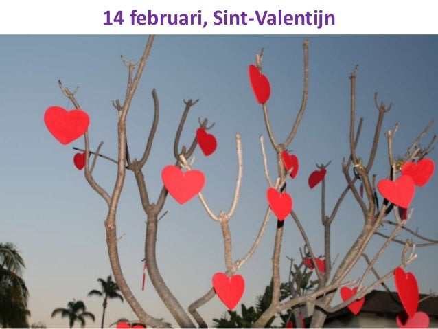 De maand in beeld (februari 2016)