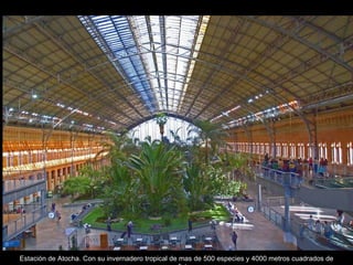 Estación de Atocha. Con su invernadero tropical de mas de 500 especies y 4000 metros cuadrados de superficie. 