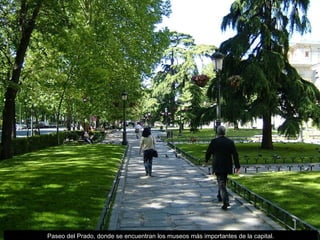 Paseo del Prado, donde se encuentran los museos más importantes de la capital. 