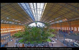 Estación de Atocha. Con su invernadero tropical de mas de 500 especies y 4000 metros cuadrados de superficie. 