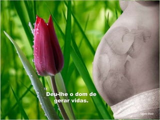Deu-lhe o dom de 
gerar vidas. 
Salete Elizio 
 