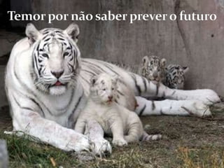 Temor por não saber prever o futuro