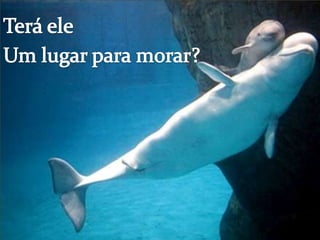 Terá eleUm lugar para morar?