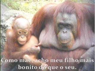 Como mãe, acho meu filho mais bonito do que o seu.