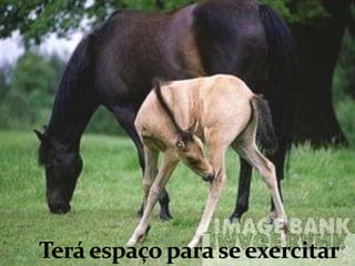 Terá espaço para se exercitar?