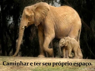 Caminhar e ter seu próprio espaço.