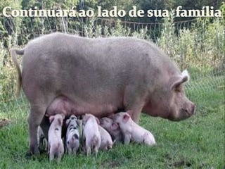 Continuará ao lado de sua  família