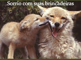 Sorrio com suas brincadeiras