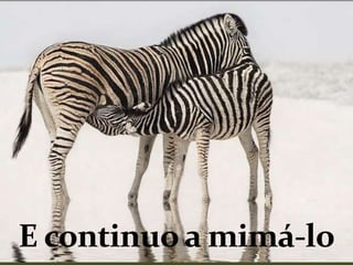 E continuo a mimá-lo