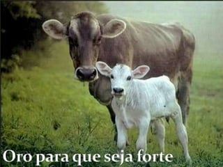 Oro para que seja forte