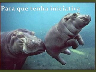 Para que tenha iniciativa