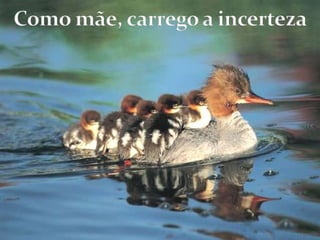 Como mãe, carrego a incerteza