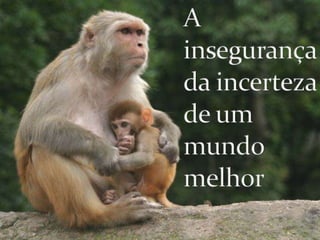 A insegurança da incerteza de um mundo melhor