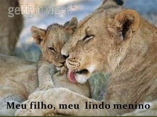 Meu filho, meu lindo menino