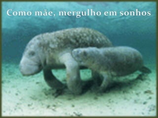 Como mãe, mergulho em sonhos