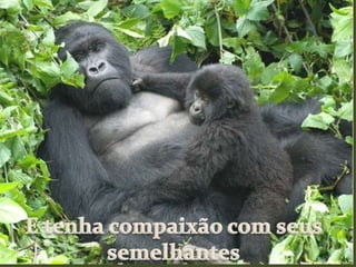 E tenha compaixão com seus semelhantes