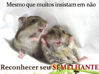 Mesmo que muitos insistam em nãoReconhecer seu SEMELHANTE