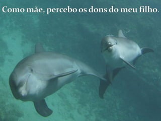 Como mãe, percebo os dons do meu filho.