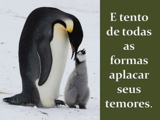 E tento de todas as formas aplacar seus temores.