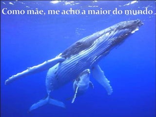 Como mãe, me acho a maior do mundo