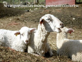 Será que outras mães, pensam como eu