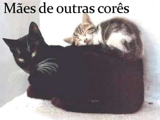 Mães de outras corês