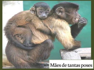 Mães de tantas poses