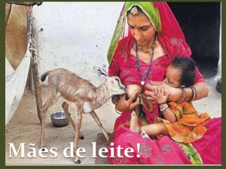 Mães de leite!