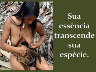 Sua essênciatranscendesua espécie.