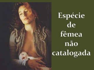 Espéciedefêmeanãocatalogada