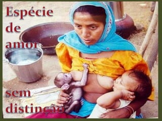 Espécie de amor sem distinção