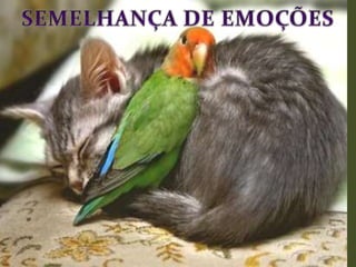 SEMELHANÇA DE EMOÇÕES