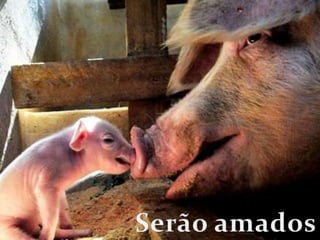 Serão amados