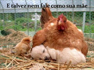 E talvez nem fale como sua mãe