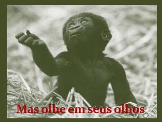 Mas olhe em seus olhos