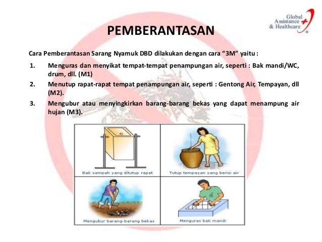 Demam berdarah dengue Demam berdarah dengue