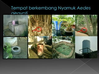 KRITERIA KLBAdanya kematian di suatu desa/kelurahan