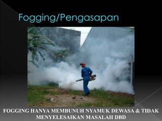 Dengan membandingkan situasi kasus bulanan saat ini dengan grafik median. (Dinyatakan situasi KLB jika jumlah kasus melebihi jumlah median kasus DBD plus 1 SD (standar deviasi).Tempat berkembang Nyamuk Aedes aegypti
